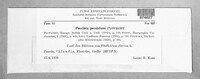 Puccinia recondita image